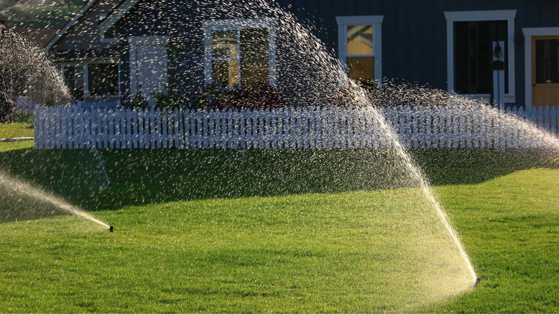 Michigan Lawn Watering Schedule Residential rotor sprinklers running on residential Michigan lawn in morning light