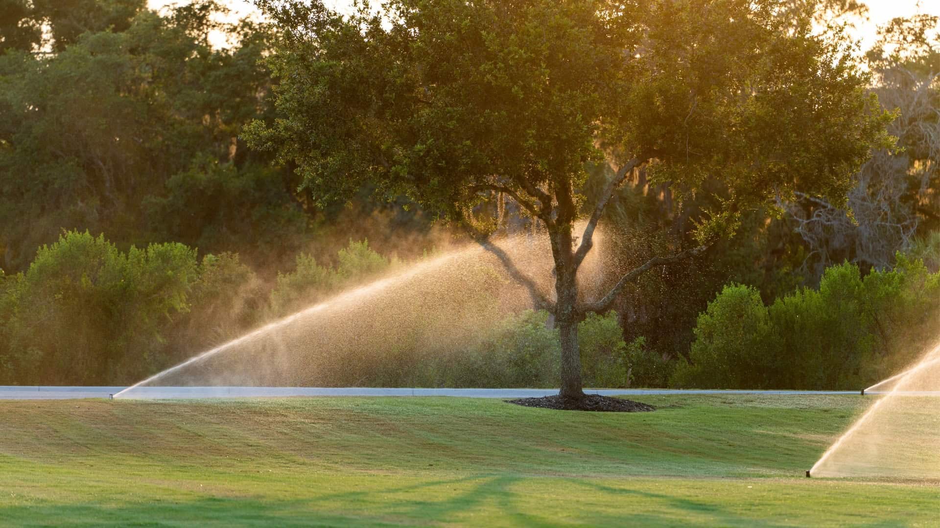 Michigan Lawn Watering Schedule lawn watering schedule for Michigan cool-season grass