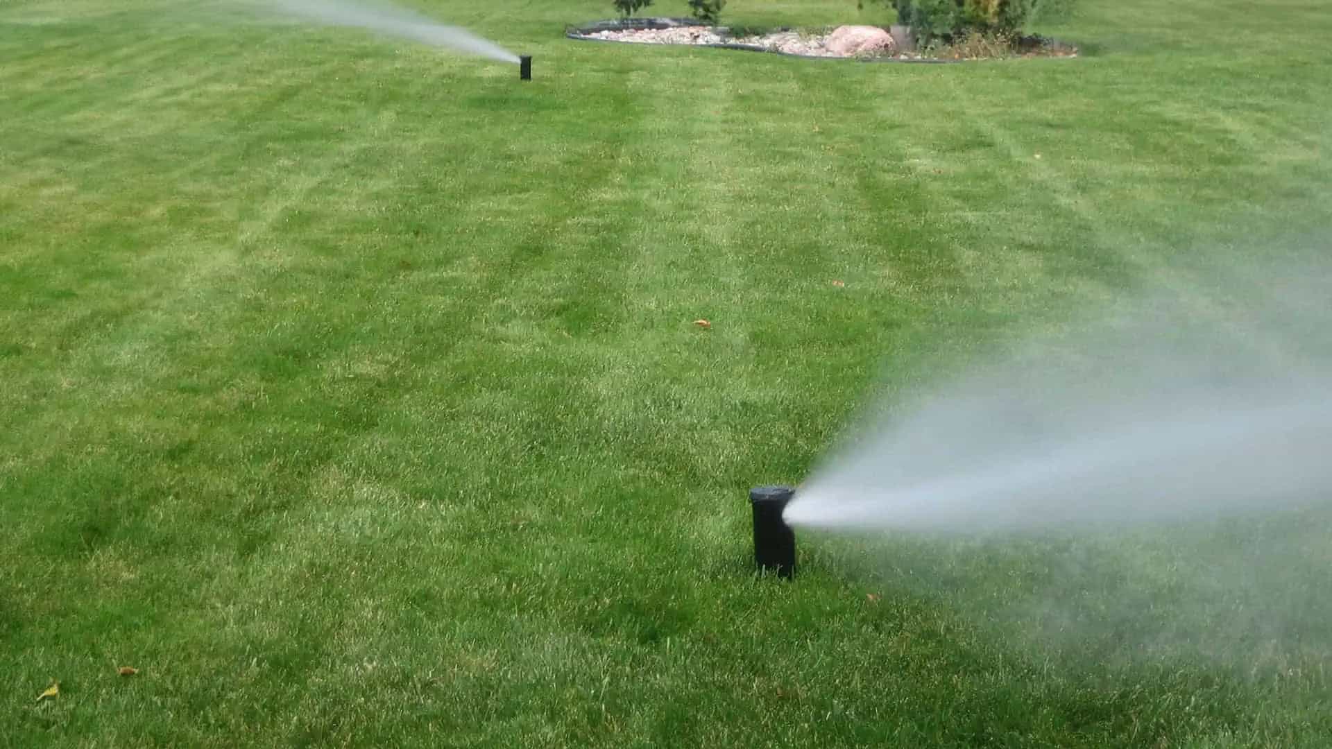 rotor sprinklers running on residential Michigan lawn in morning light