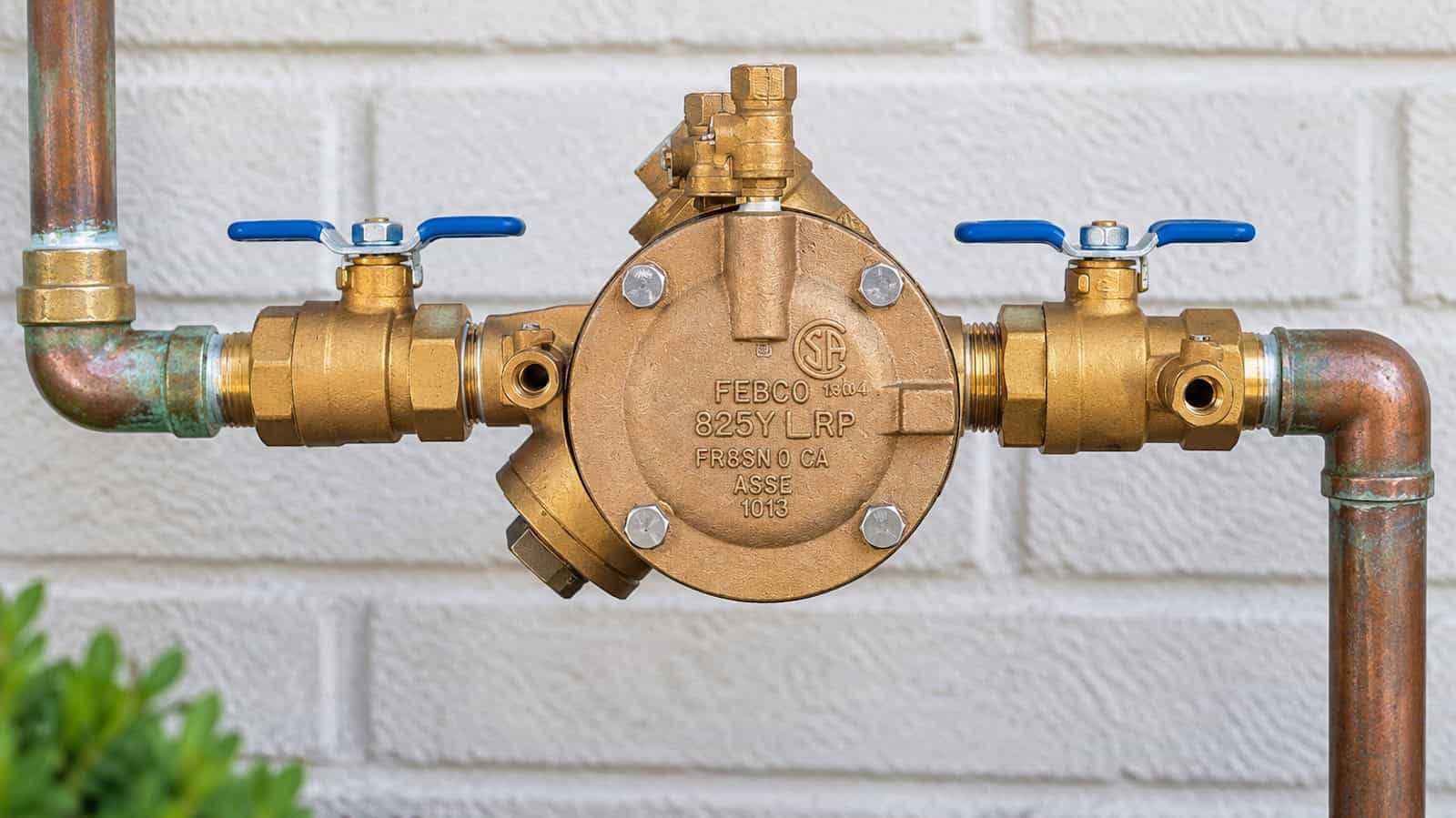 Irrigation system backflow preventer with shutoff valves